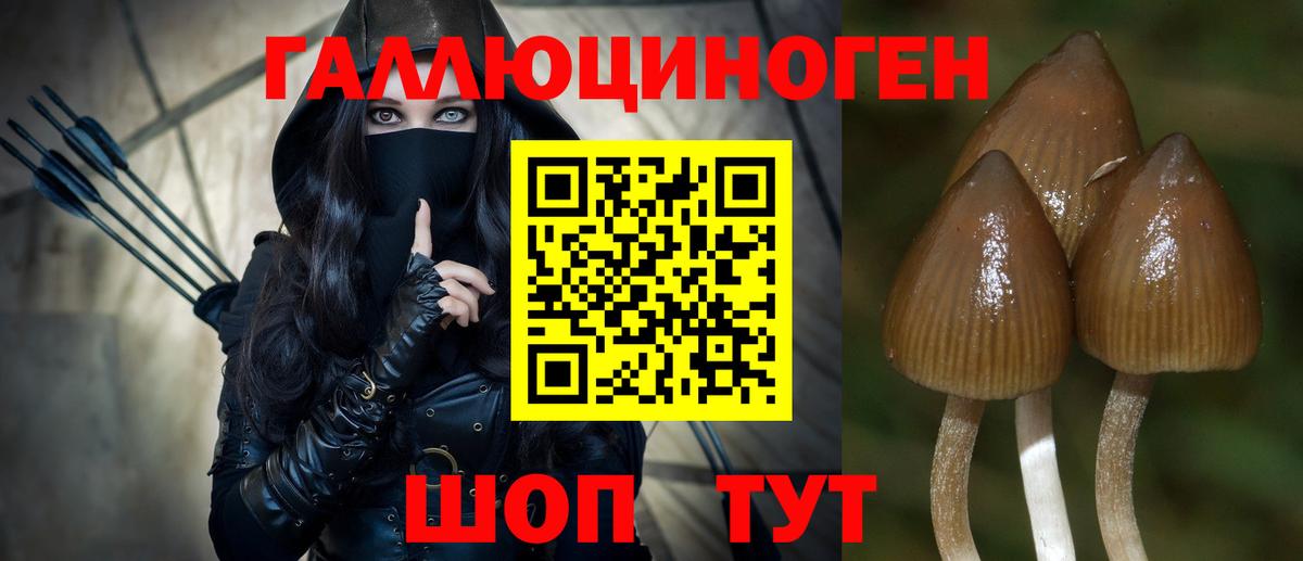 Галлюциногенные грибы мухоморы Карталы